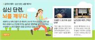 뉴스레터